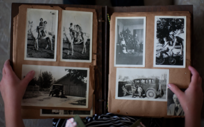 Les mémoires endormies